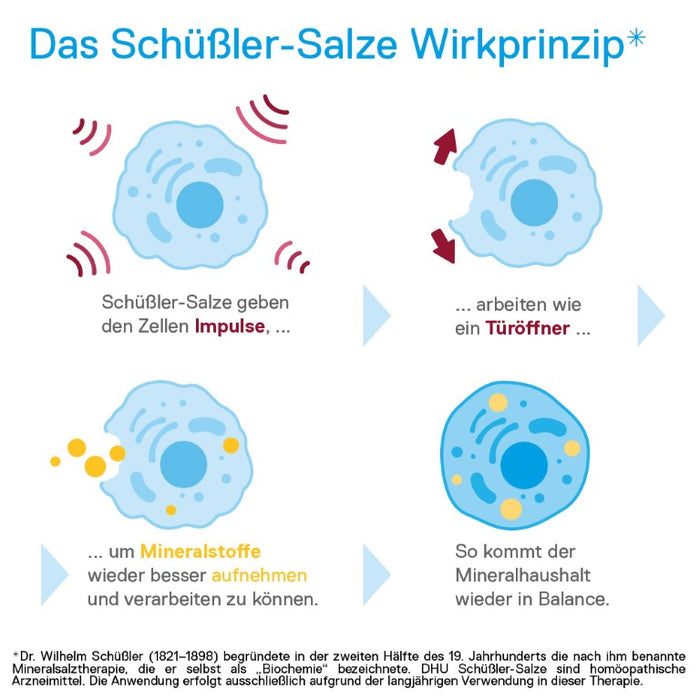 DHU Schüßler-Salz Nr. 4 Kalium chloratum D6 – Das Mineralsalz der Schleimhäute – das Original – umweltfreundlich im Arzneiglas, 80 pc Tablettes