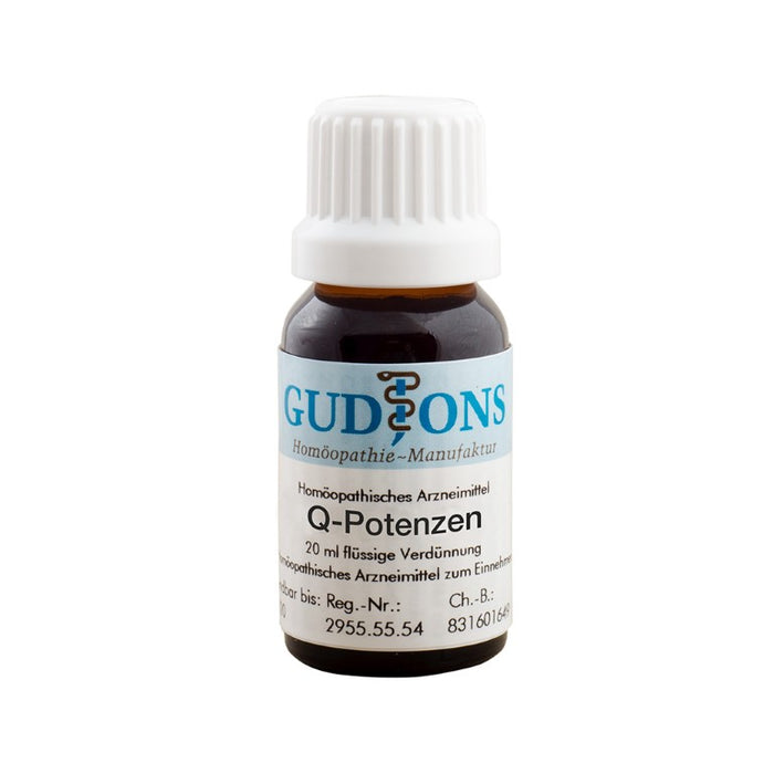 GUDJONS Argentum nitricum Q8 flüssige Verdünnung, 15 ml Lösung