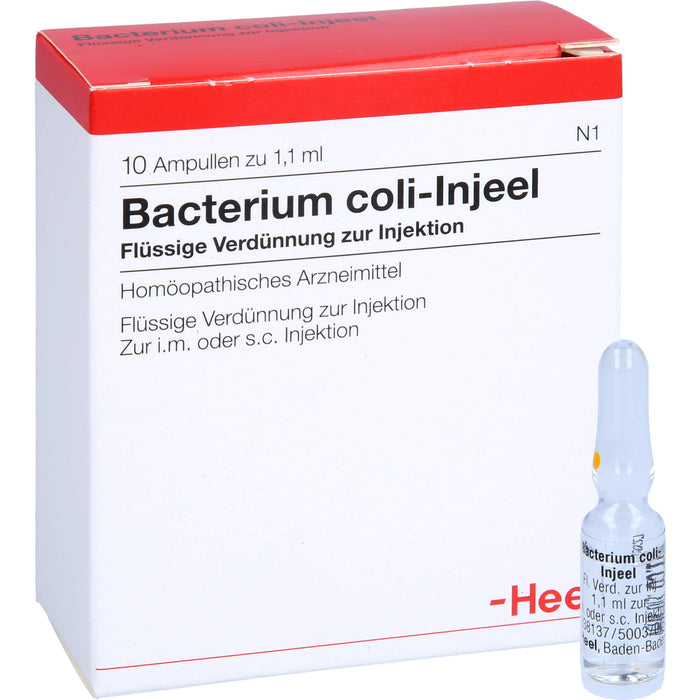 Bacterium coli-Injeel flüssige Verdünnung zur Injektion, 10 pcs. Ampoules