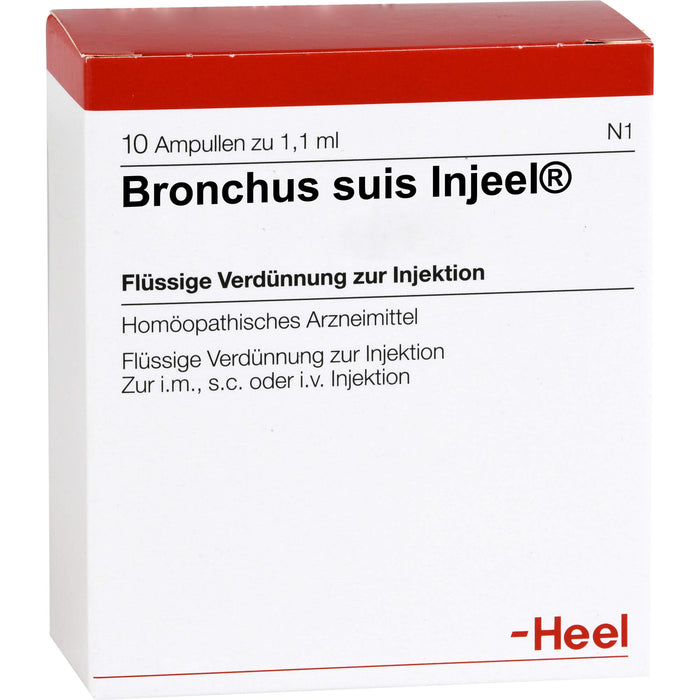 Bronchus suis Injeel Amp., 10 St. Ampullen