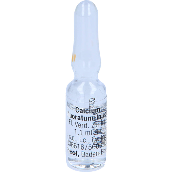 Calcium fluoratum Injeel Amp., 10 St AMP