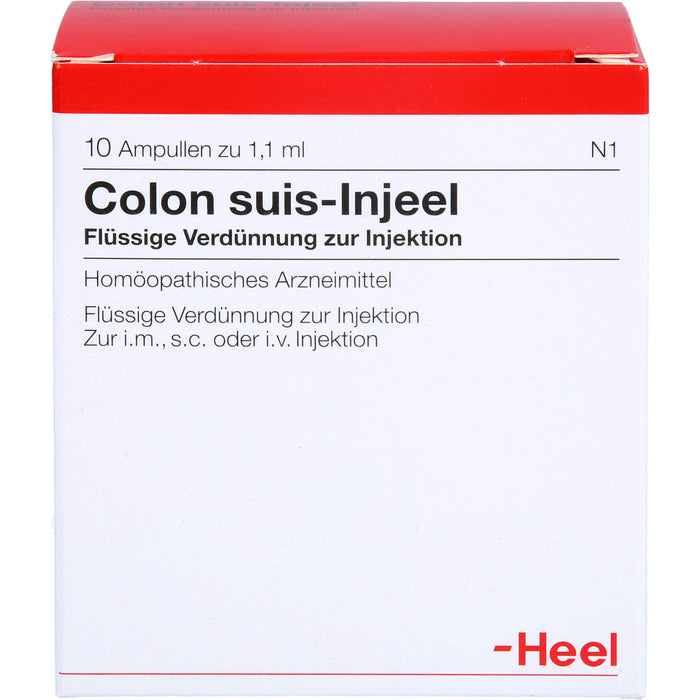 Colon suis-Injeel Inj.-Lsg., 10 St AMP