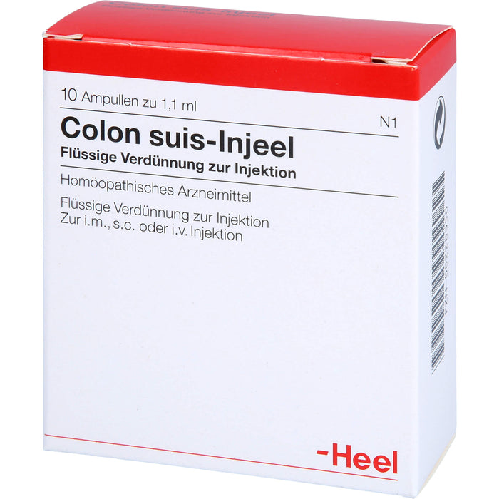 Heel Colon suis-Injeel flüssige Verdünnung, 10 St. Ampullen