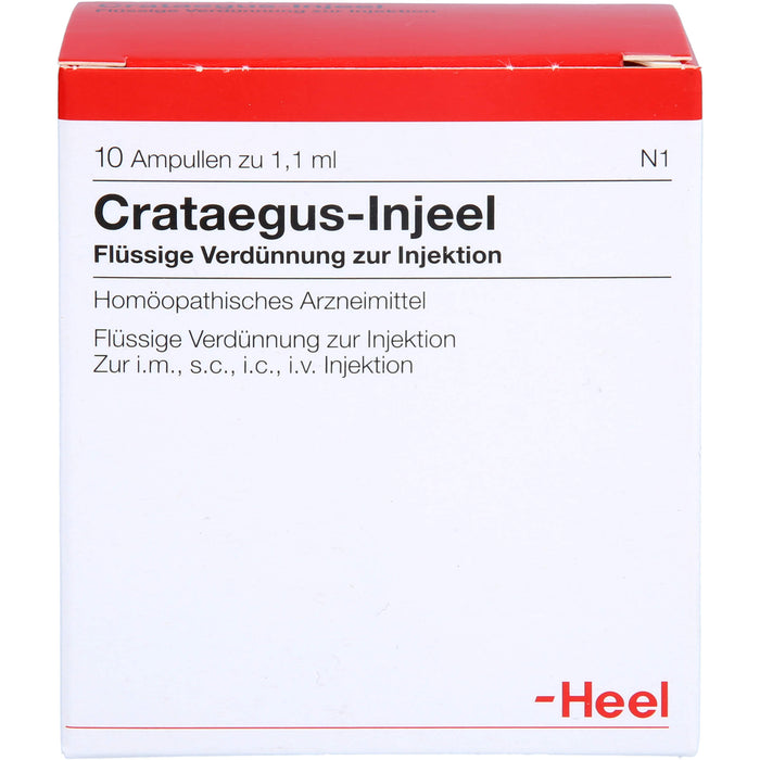 Crataegus Injeel Amp., 10 St AMP