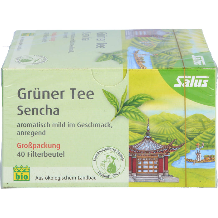 Grüner Tee Grosspackung bio Salus, 40 St FBE