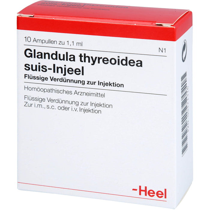 Glandula thyreoidea suis-Injeel flüssige Verdünnung, 10 pcs. Ampoules