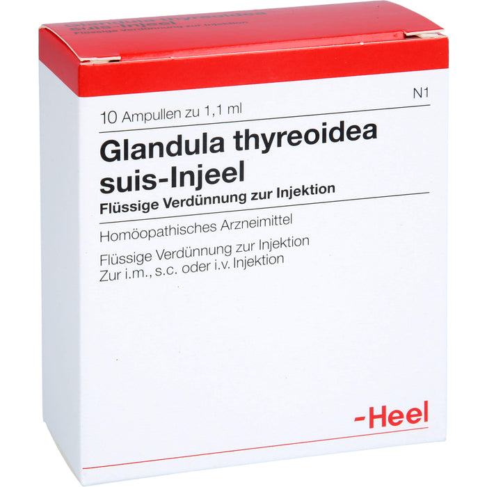 Glandula thyreoidea suis-Injeel flüssige Verdünnung, 10 pcs. Ampoules