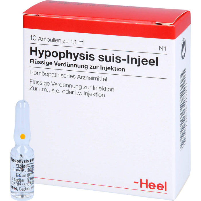 Hypophysis suis-Injeel flüssige Verdünnung, 10 pcs. Ampoules