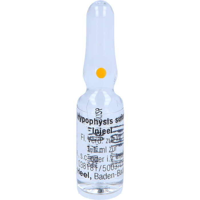 Hypophysis suis-Injeel flüssige Verdünnung, 10 pc Ampoules