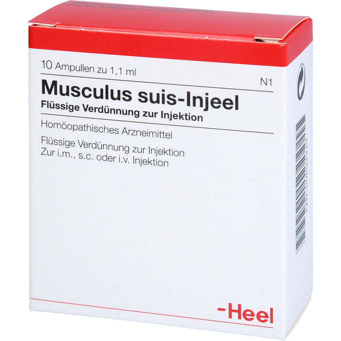 Musculus suis-Injeel Inj.-Lsg., 10 St AMP