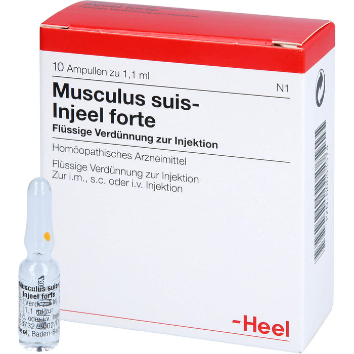 Musculus suis-Injeel forte flüssige Verdünnung, 10 pc Ampoules