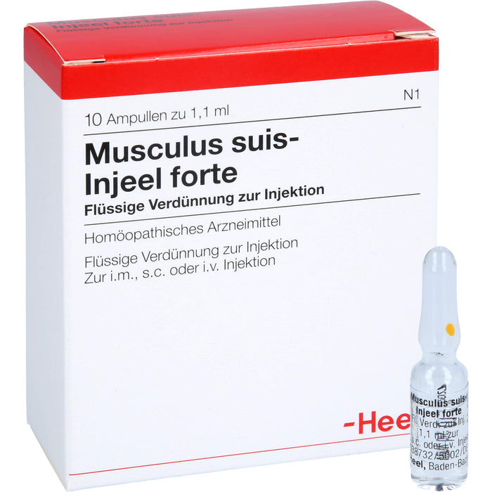 Musculus suis-Injeel forte flüssige Verdünnung, 10 pc Ampoules