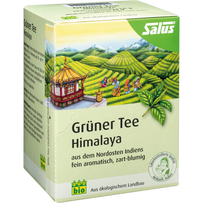 Grüner Tee Himalaya bio Salus, 15 St FBE