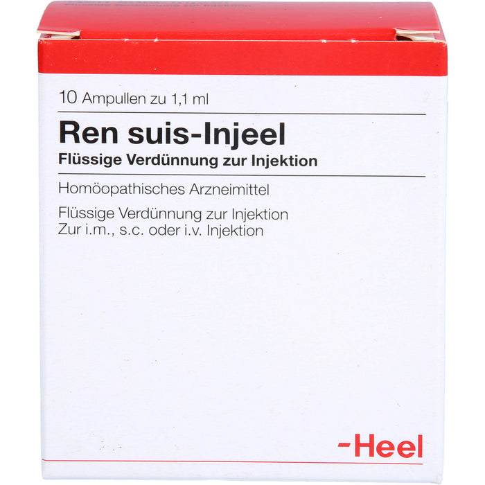 Ren suis-Injeel Injektionslösung, 10 pc Ampoules