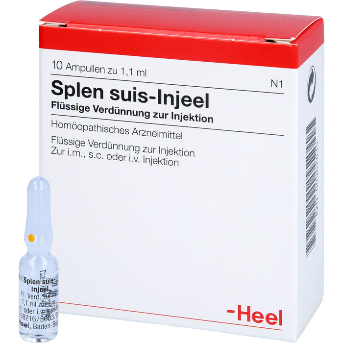 Heel Splen suis-Injeel flüssige Verdünnung, 10 pc Ampoules