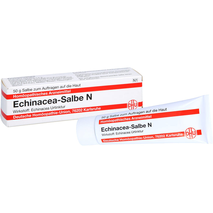 DHU Echinacea-Salbe N, 50 g Ointment