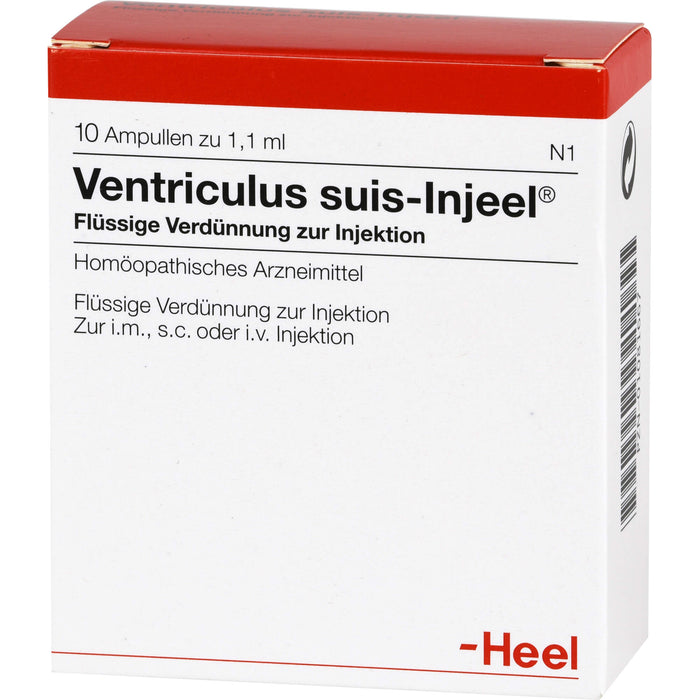 Ventriculus suis-Injeel flüssige Verdünnung, 10 pc Ampoules