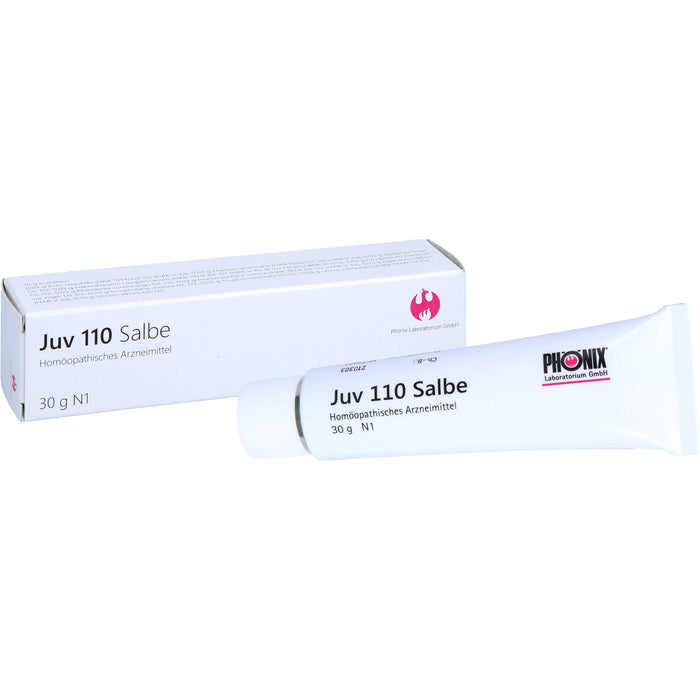 JUV 110 Salbe, 30 g Onguent