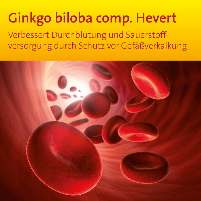 Ginkgo biloba comp. Hevert bei Gefäßverkalkung, 200 ml Lösung