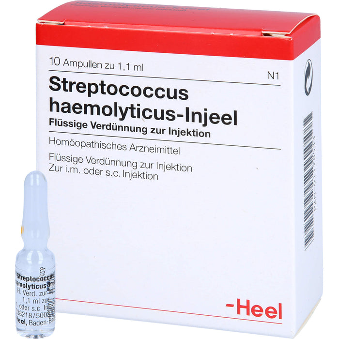 Streptococcus haemolyticus-Injeel flüssige Verdünnung, 10 pcs. Ampoules