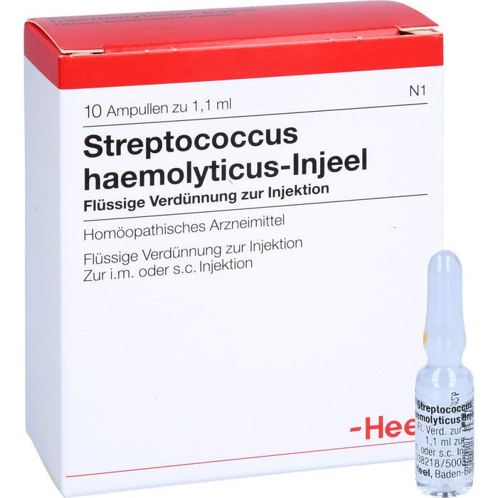 Streptococcus haemolyticus-Injeel flüssige Verdünnung, 10 St. Ampullen