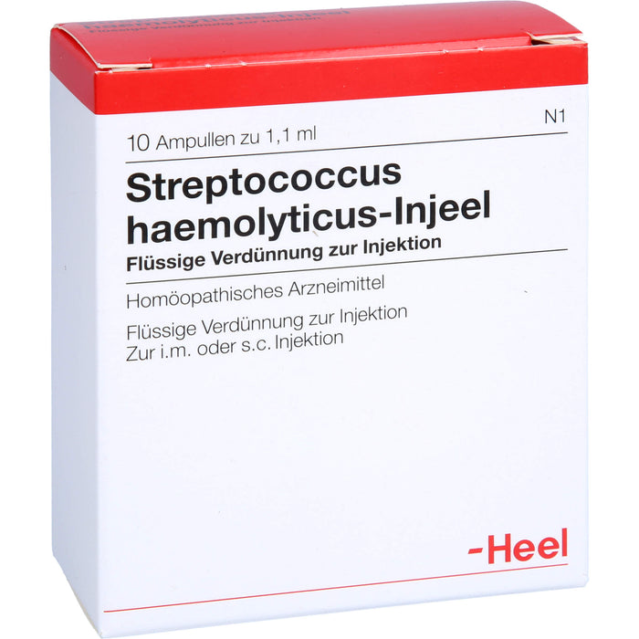 Streptococcus haemolyticus-Injeel flüssige Verdünnung, 10 pcs. Ampoules