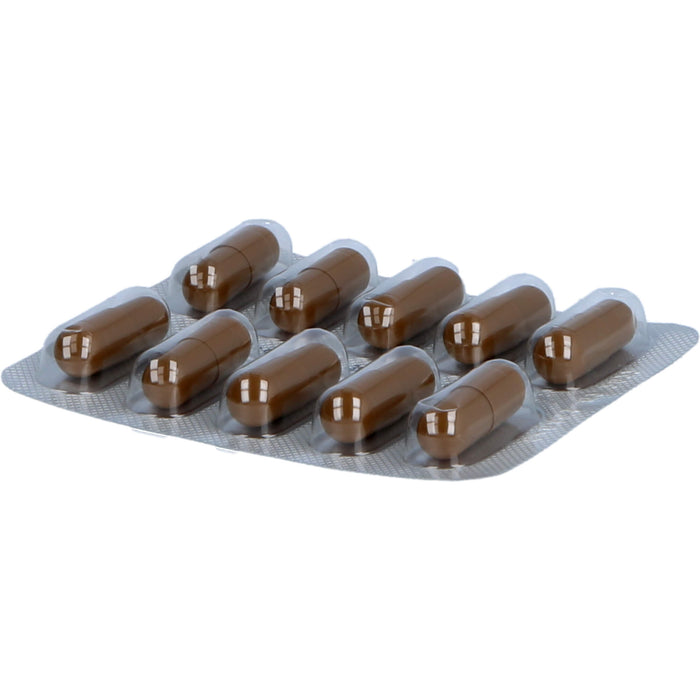 Essentiale Kapseln 300 mg bei akuten und chronischen Lebererkrankungen, 250 pc Capsules