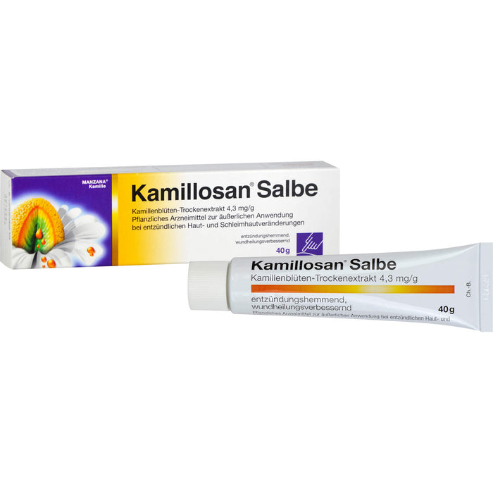 Kamillosan Salbe bei entzündlichen Haut- und Schleimhautveränderungen, 40 g Salbe