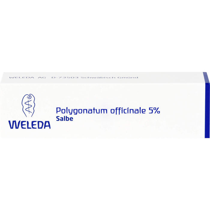 Polygonatum officinale 5% Weleda Salbe, 25 g Salbe