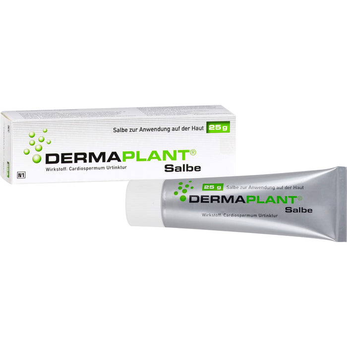 DERMAPLANT Salbe, 25 g Salbe