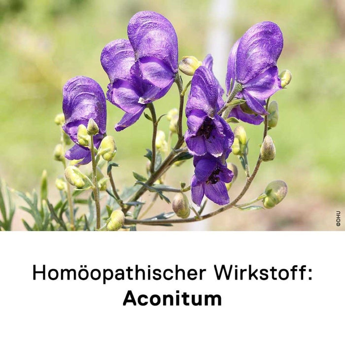 DHU Aconitum D6 Streukügelchen, 10 g Globules