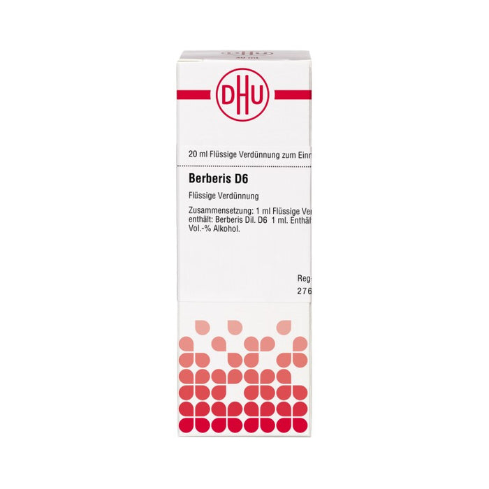 DHU Berberis D6 Dilution, 20 ml Lösung