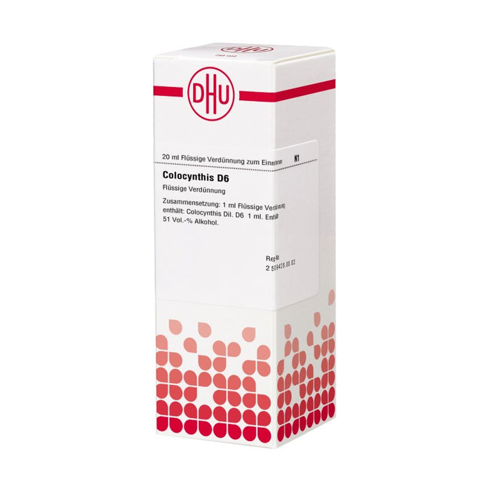 Colocynthis D6 DHU Dilution, 20 ml Lösung