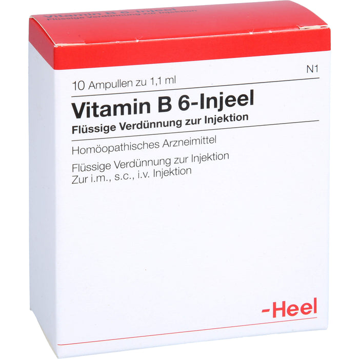 Vitamin B 6 Injeel flüssige Verdünnung, 10 St. Ampullen