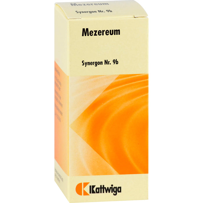 Synergon Komplex 9 b Mezereum Tropf., 50 ml TRO