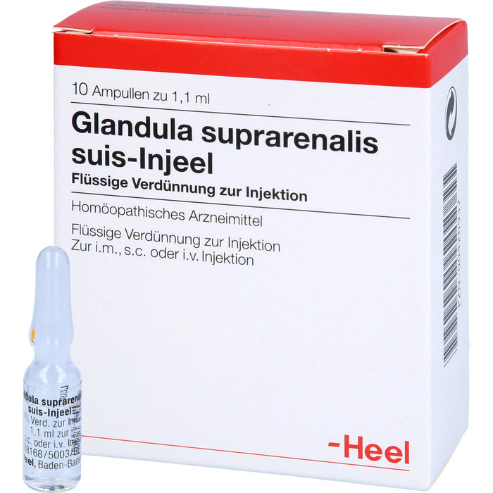 Glandula suprarenalis suis-Injeel Ampullen, 10 St. Ampullen