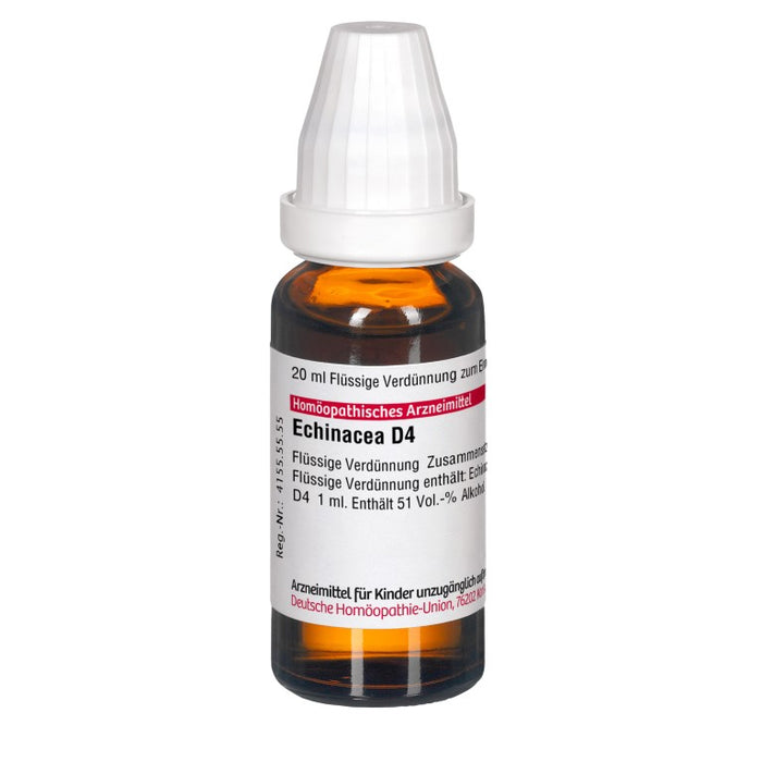 DHU Echinacea HAB D4 Dilution, 20 ml Lösung