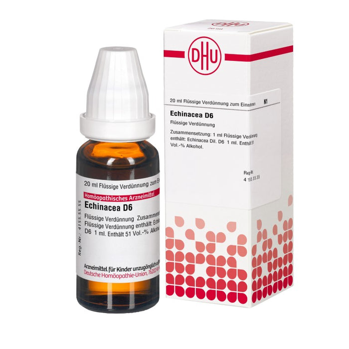 DHU Echinacea D6 Dilution, 20 ml Lösung