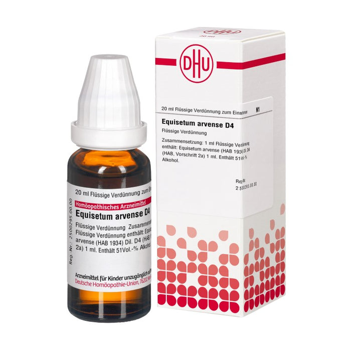 DHU Equisetum arvense D4 Dilution, 20 ml Lösung