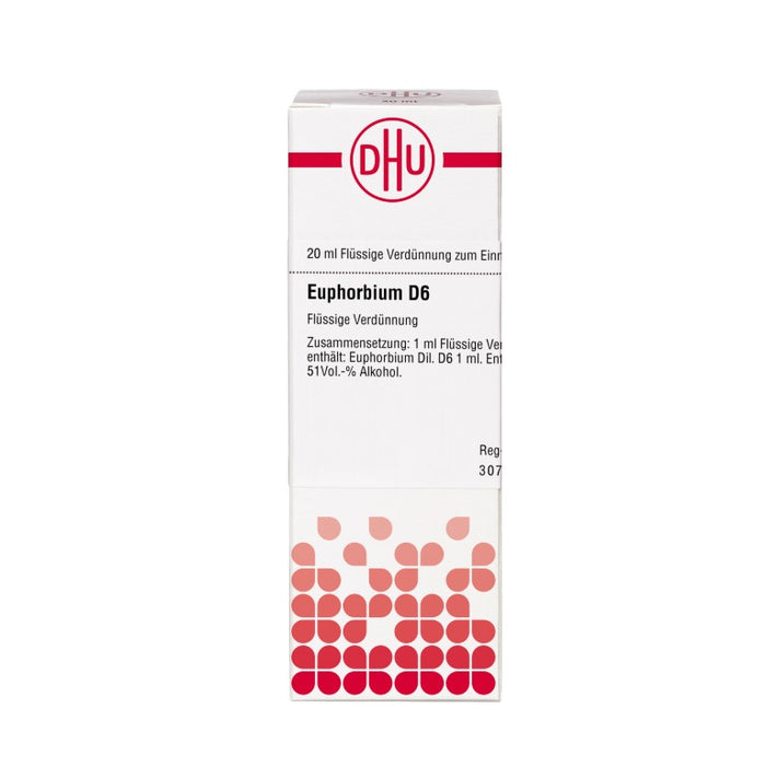 Euphorbium D6 DHU Dilution, 20 ml Lösung