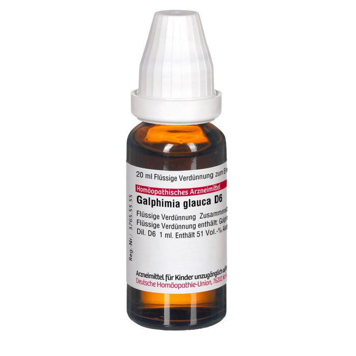 Galphimia glauca D6 DHU Dilution, 20 ml Lösung