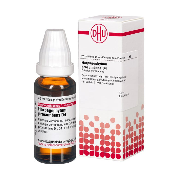 DHU Harpagophytum procumbens D4 Dilution, 20 ml Lösung