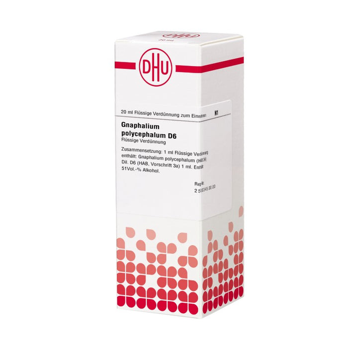 DHU Gnaphalium polycephalum D6 Dilution, 20 ml Lösung