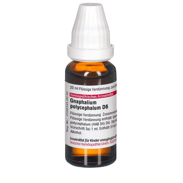 DHU Gnaphalium polycephalum D6 Dilution, 20 ml Lösung