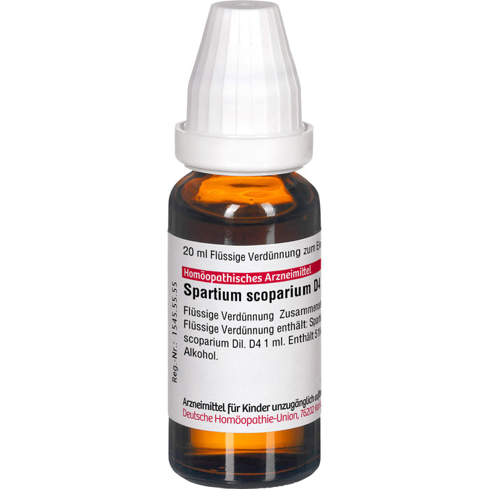 DHU Spartium scoparium D4 Dilution, 20 ml Lösung