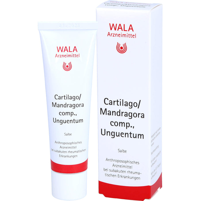 WALA Cartilago/Mandragora comp. Salbe bei subakuten rheumatischen Erkrankungen, 30 g Onguent