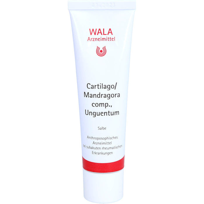 WALA Cartilago/Mandragora comp. Salbe bei subakuten rheumatischen Erkrankungen, 30 g Ointment