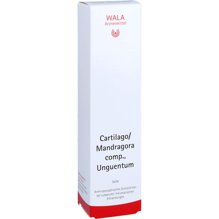 WALA Cartilago / Mandragora comp. Unguentum Salbe, 100 g Ointment