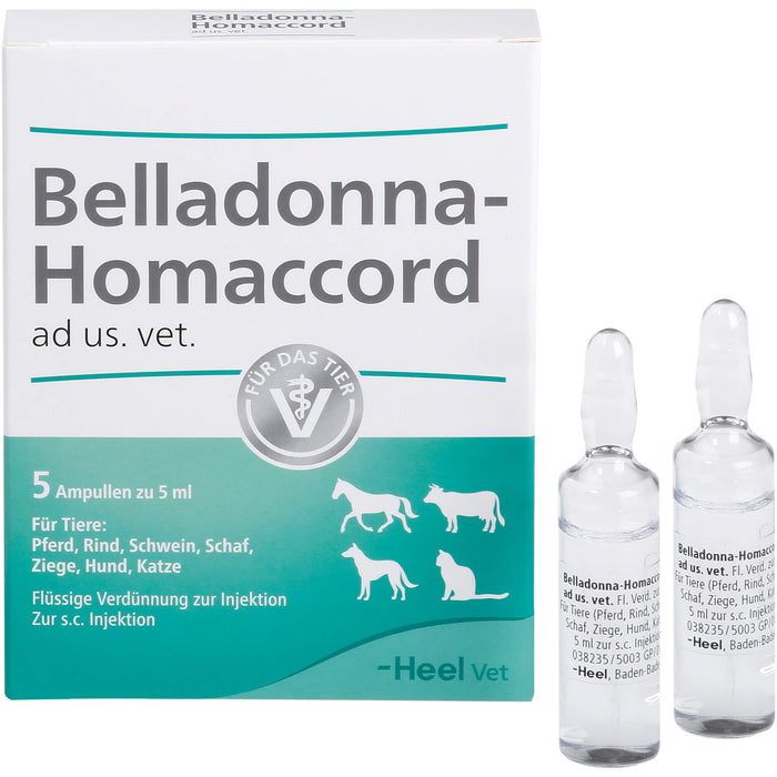 Heel Belladonna Homaccord flüssige Verdünnung zur Injektion für Tiere, 5 pc Ampoules