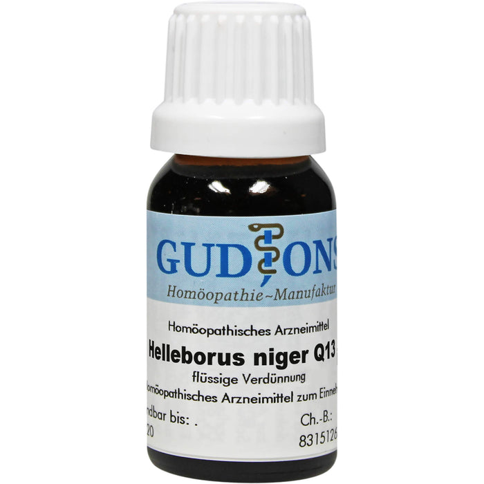 GUDJONS Helleborus niger Q13 flüssige Verdünnung, 15 ml Lösung